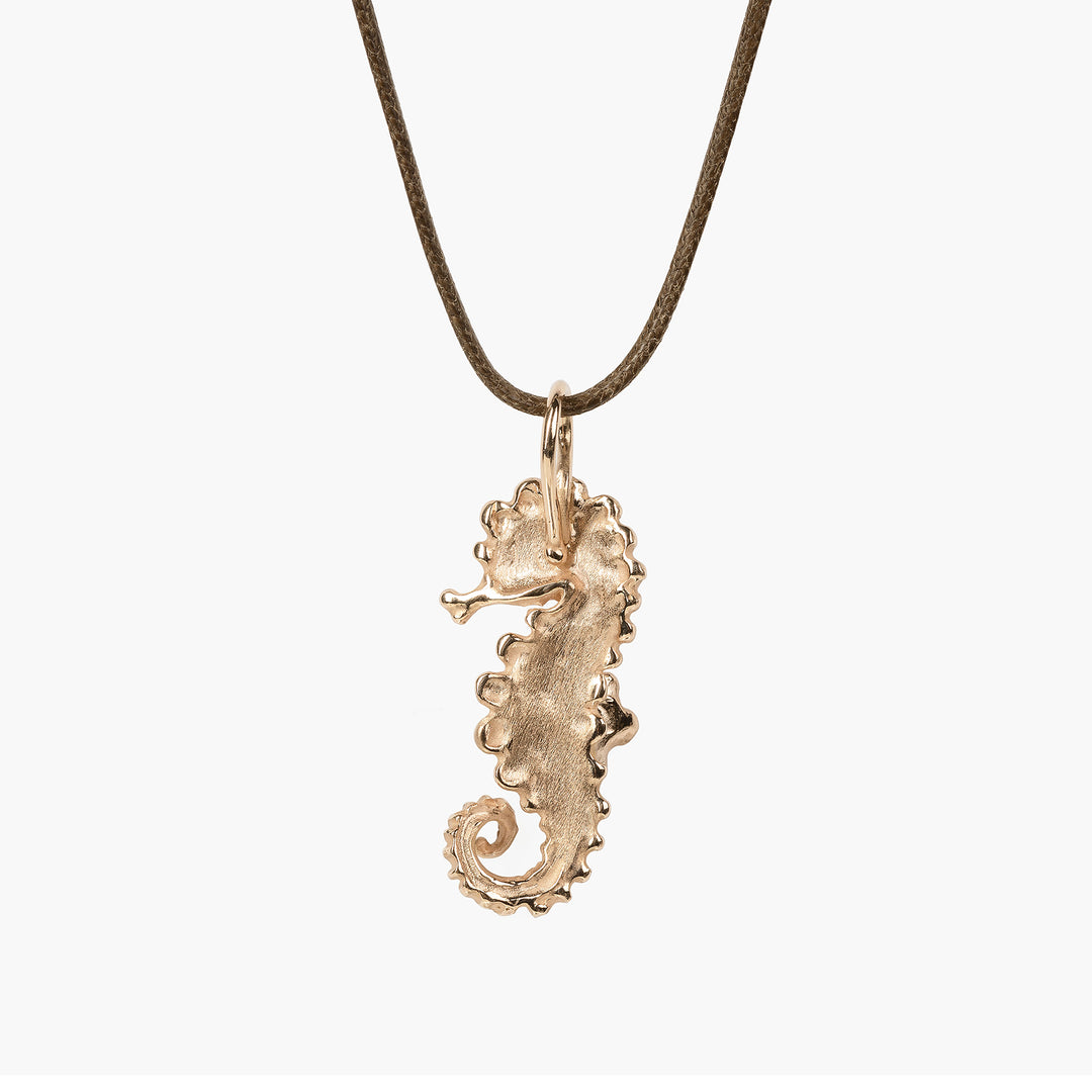 Tropical Seahorse Long Tail Pendant S