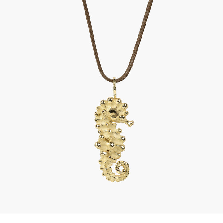 Tropical Seahorse Long Tail Pendant S