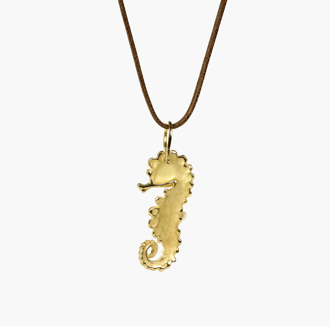 Tropical Seahorse Long Tail Pendant S
