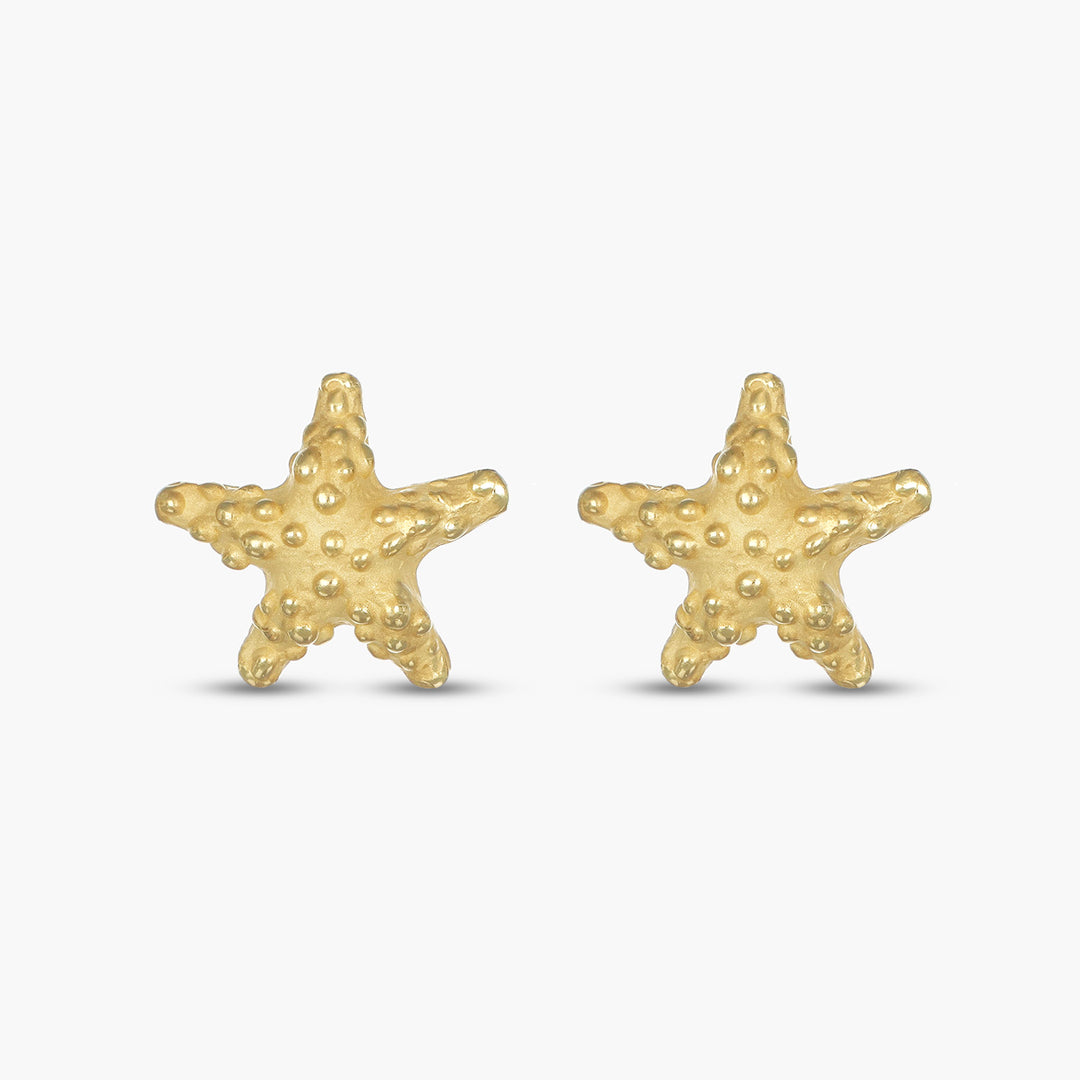 Tropical Star Earrings S