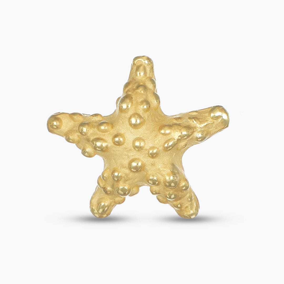 Tropical Star Earrings S
